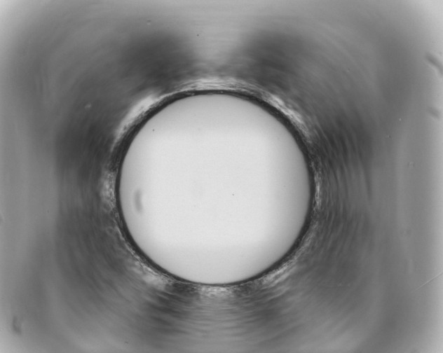 X0000094231454200710261004