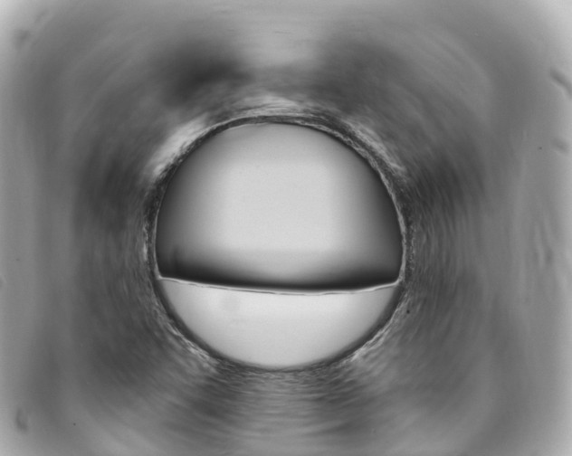 X0000094231455200710261004