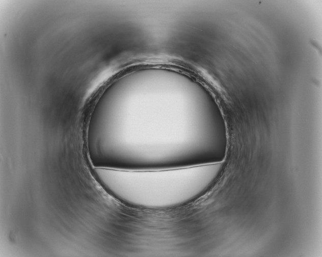 X0000094231456200710261004