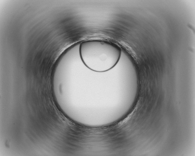 X0000094231457200710261004