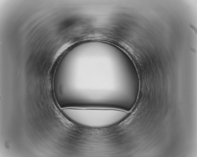 X0000094231458200710261004