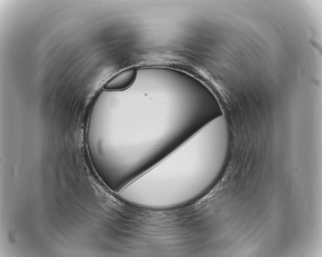 X0000094231459200710261004