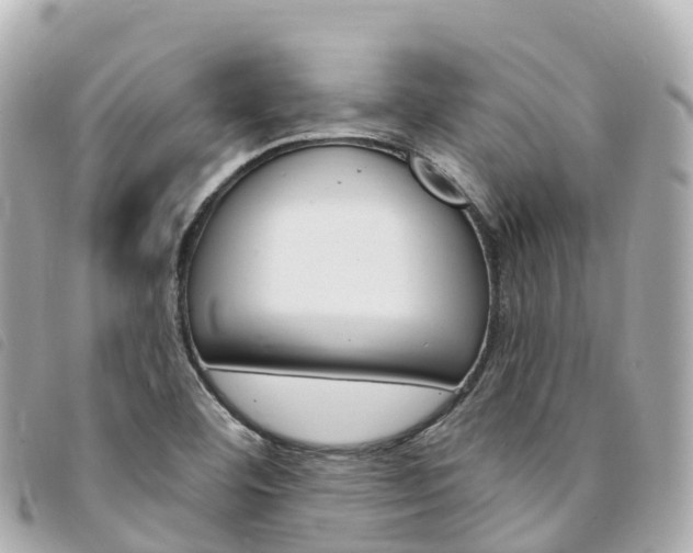 X0000094231460200710261004