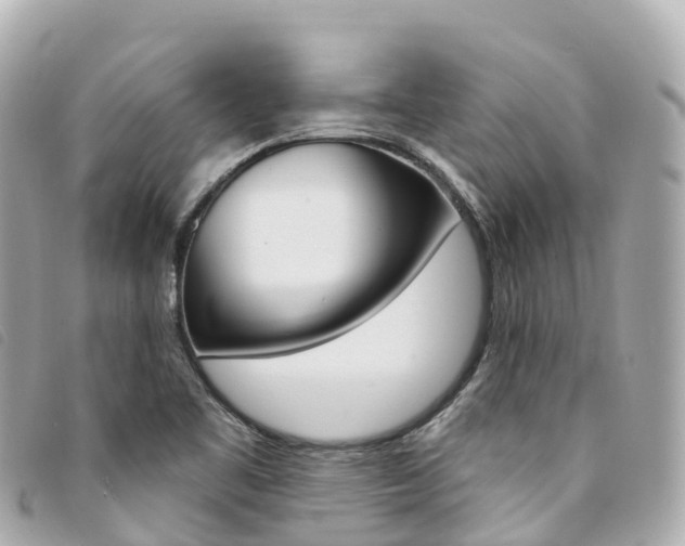 X0000094231461200710261004