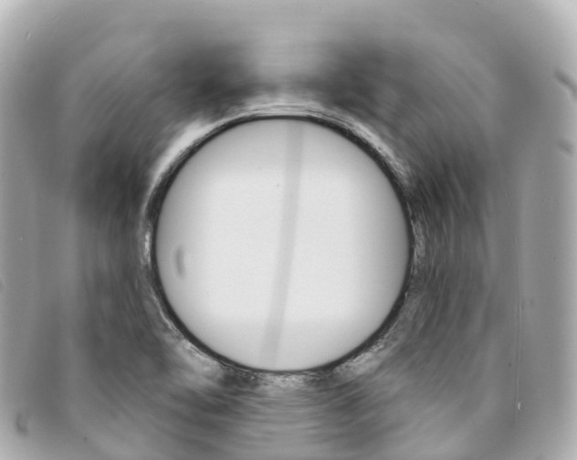 X0000094231462200710261004