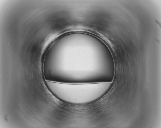 X0000094231464200710261004