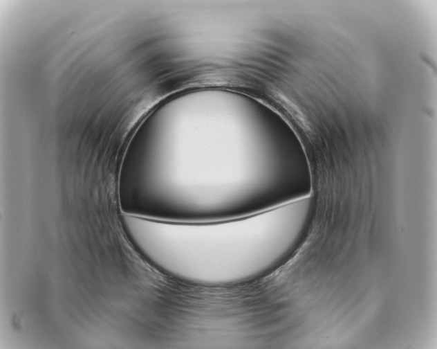 X0000094231465200710261004