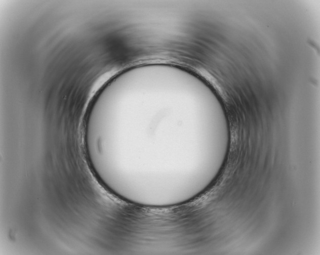 X0000094231466200710261004