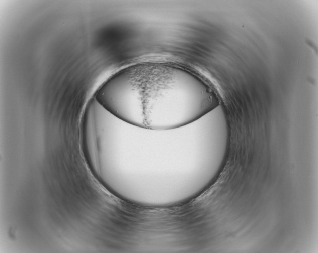 X0000094231467200710261004