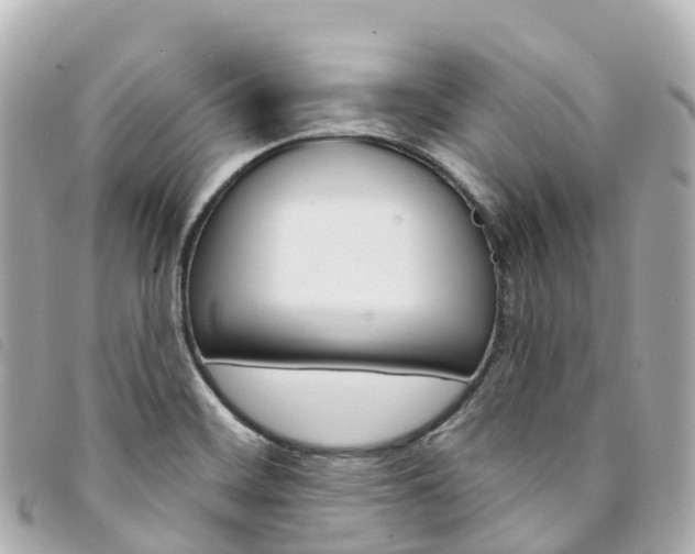X0000094231468200710261004