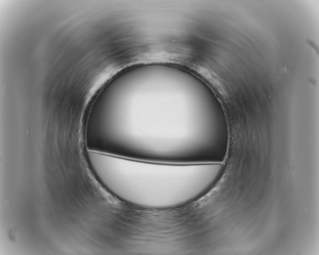 X0000094231469200710261004