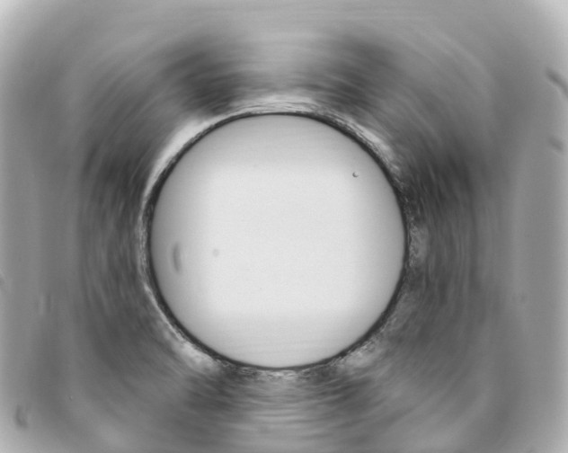 X0000094231470200710261004