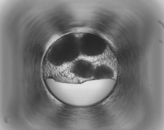 X0000094231471200710261004