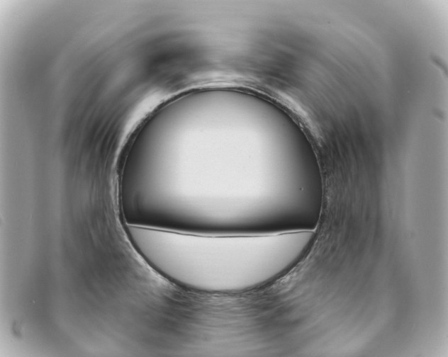 X0000094231472200710261004