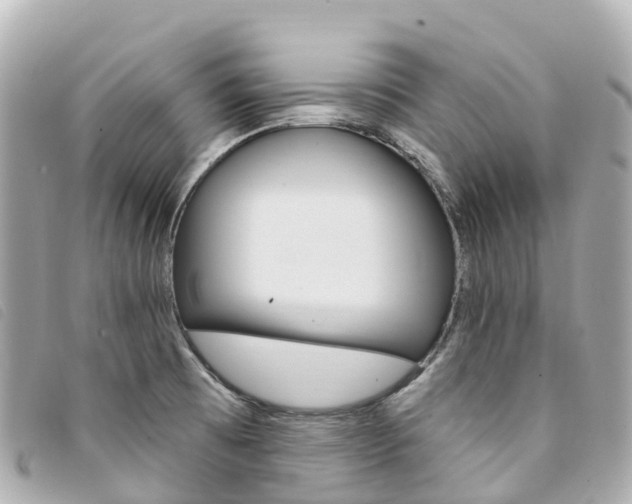 X0000094231473200710261004