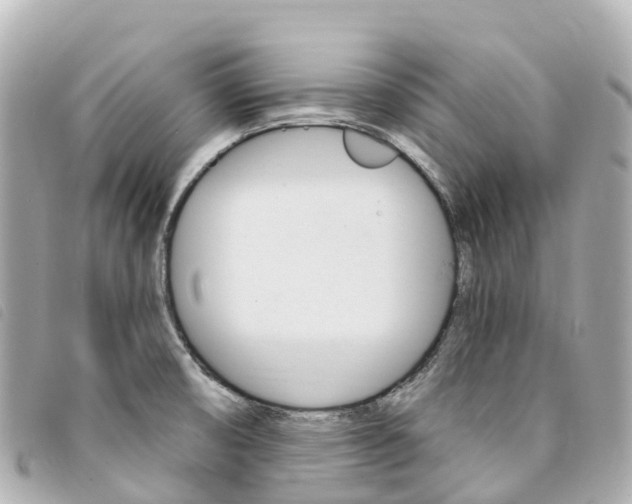 X0000094231474200710261004