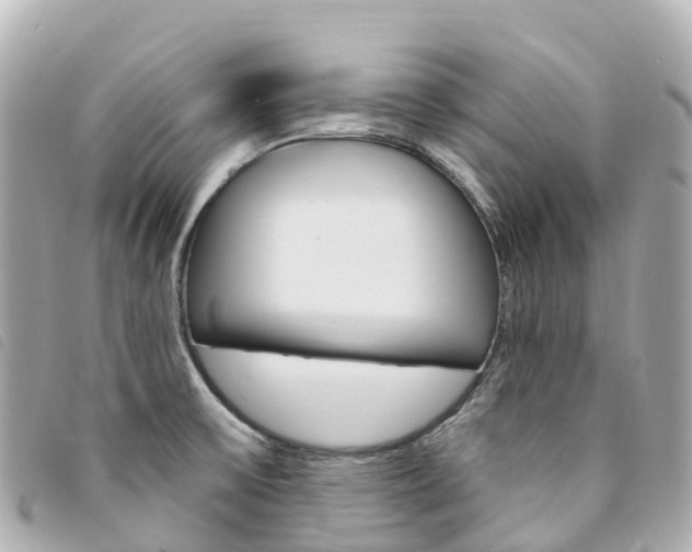 X0000094231475200710261004