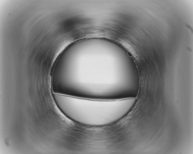 X0000094231476200710261004
