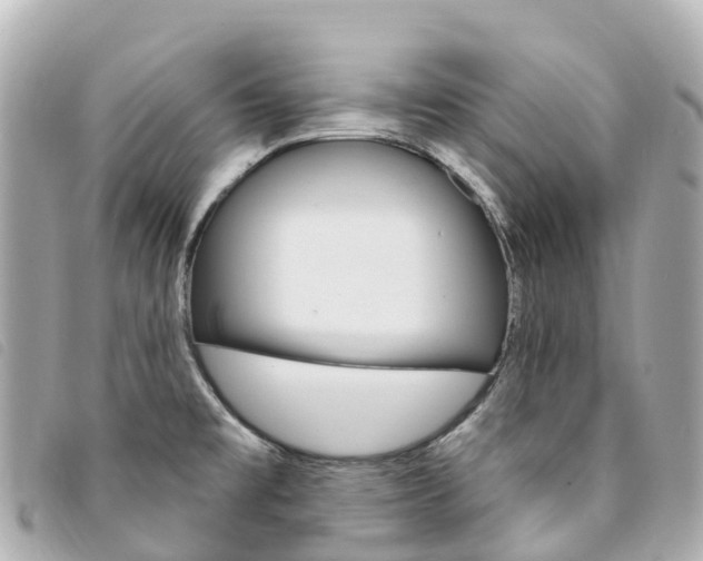 X0000094231477200710261004