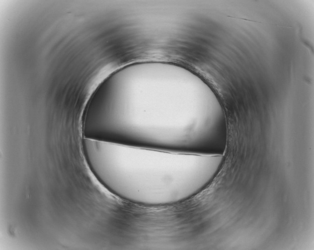 X0000094231479200710261004