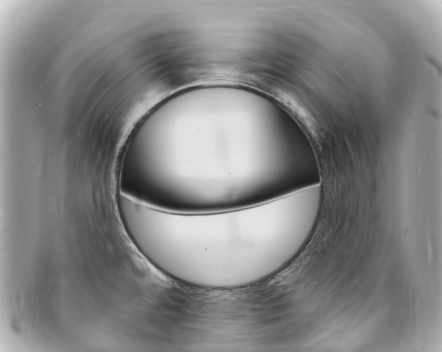 X0000094231480200710261004