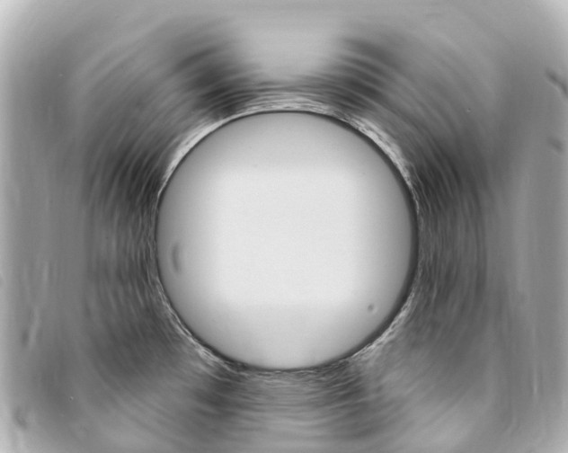 X0000094231481200710261004