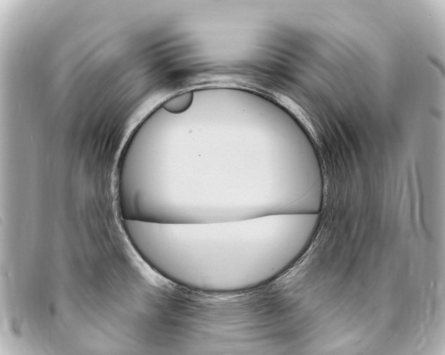 X0000094231482200710261004
