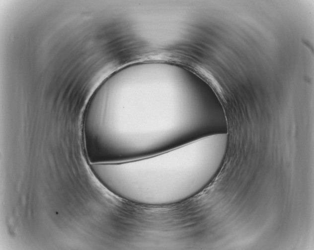X0000094231483200710261003