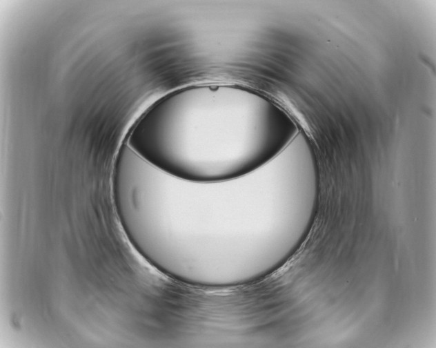 X0000094231484200710261003