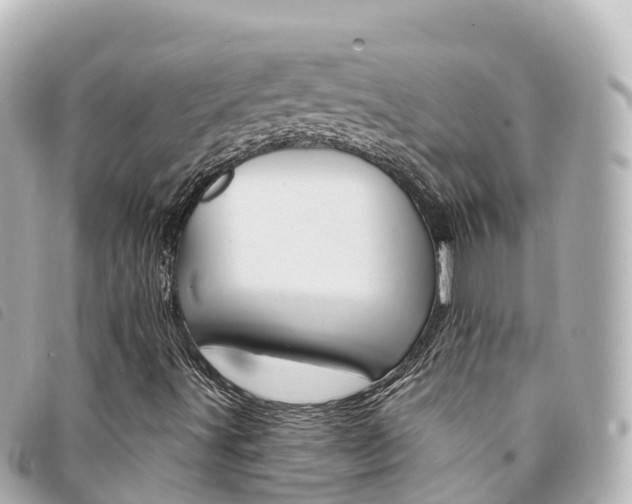X0000094231491200710261003