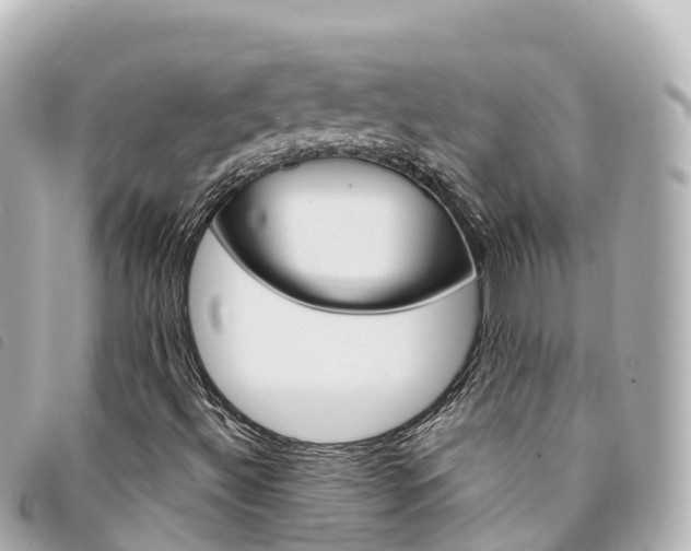 X0000094231492200710261003