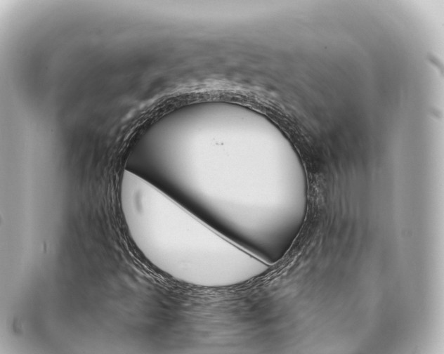 X0000094231493200710261003