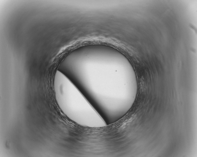 X0000094231494200710261003