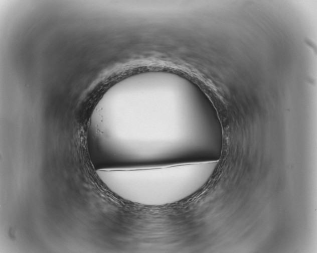 X0000094231495200710261003