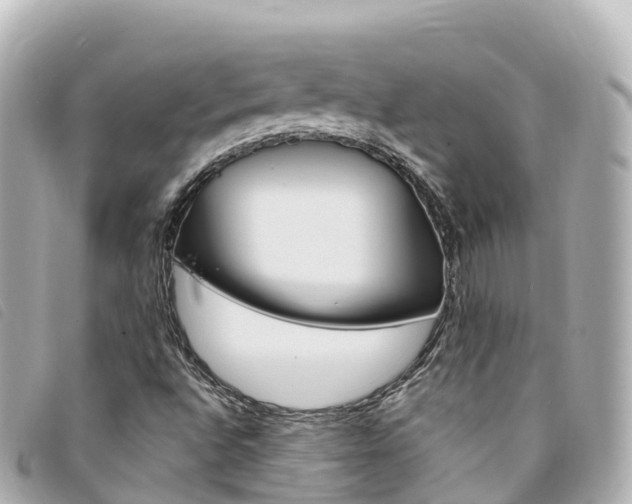 X0000094231496200710261003