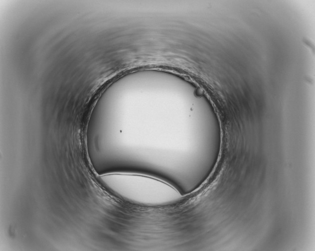 X0000094231497200710261003