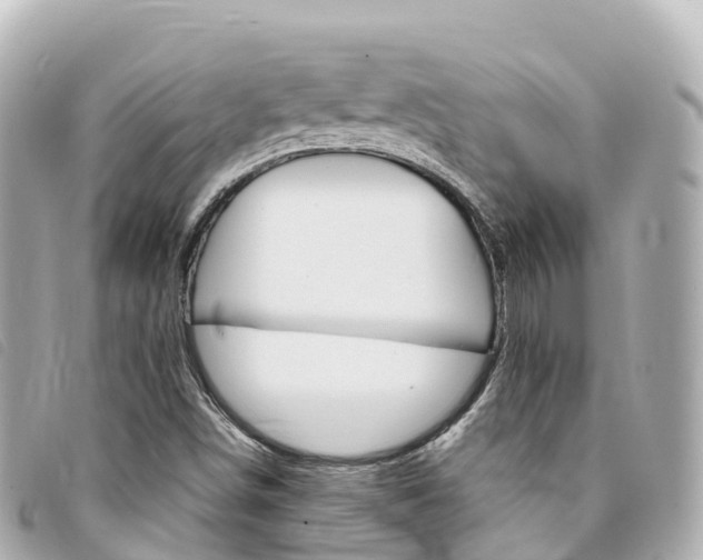 X0000094231498200710261003