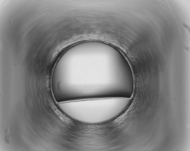 X0000094231499200710261003
