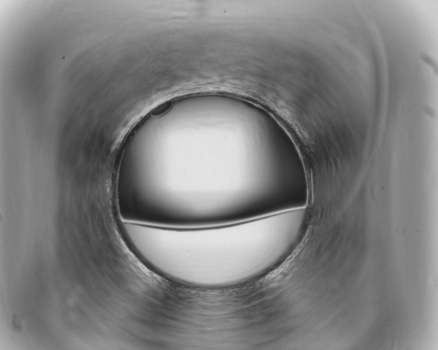 X0000094231500200710261003