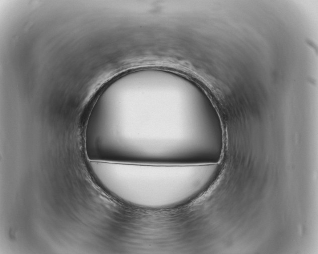 X0000094231501200710261003