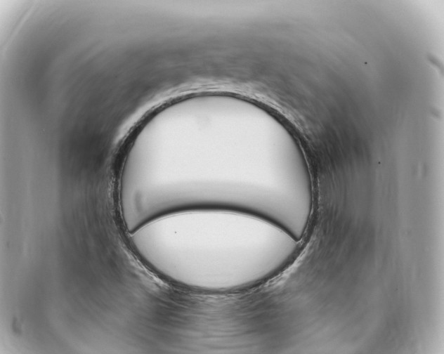 X0000094231502200710261003