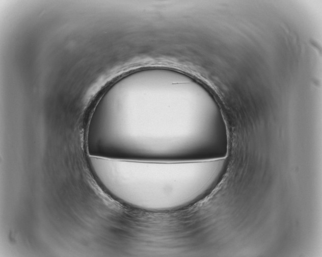 X0000094231503200710261003