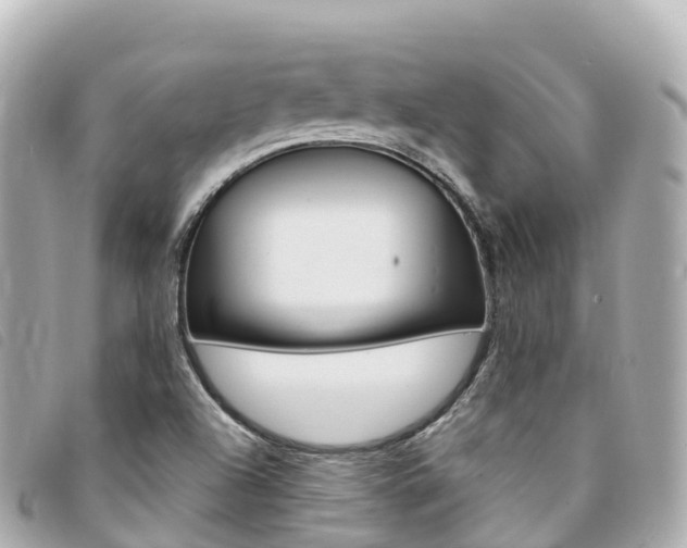 X0000094231504200710261003