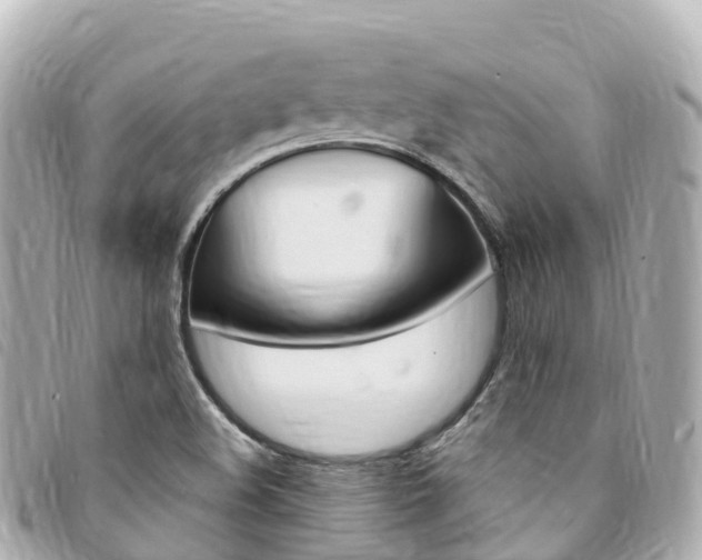 X0000094231508200710261003