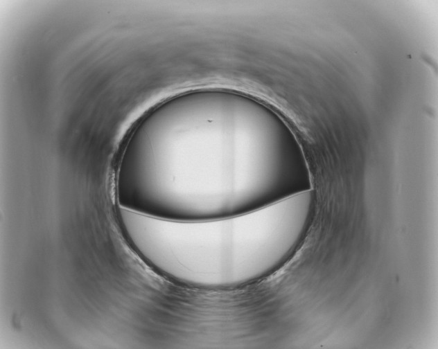 X0000094231510200710261003