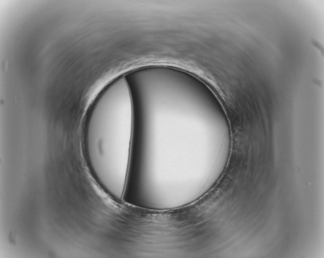 X0000094231511200710261003