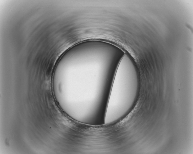 X0000094231513200710261003