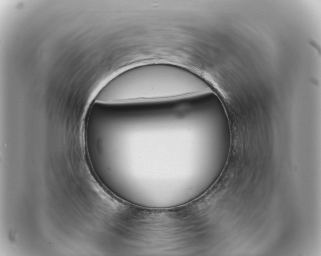 X0000094231516200710261003