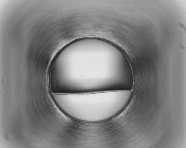 X0000094231517200710261003