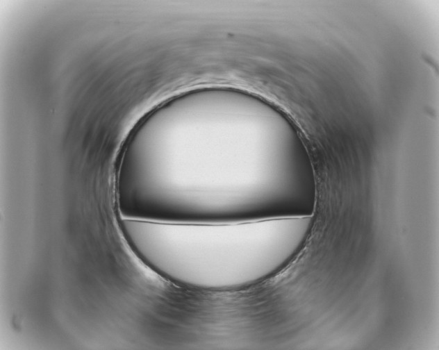 X0000094231519200710261003